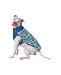 Chilly Dog