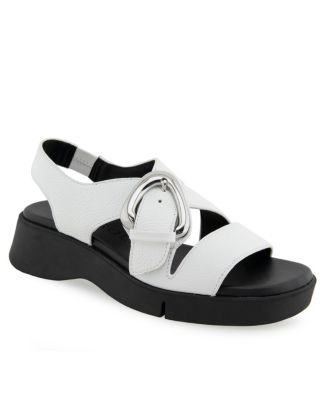 Aerosoles