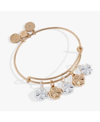 Alex and Ani