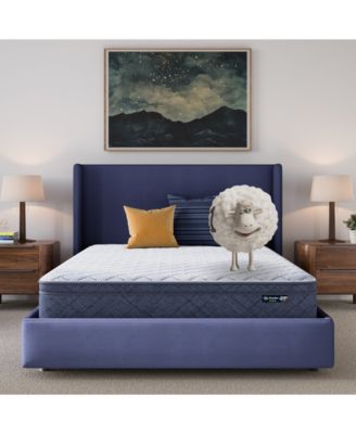 Serta - Dream Haven 10" Plush Pillow Top Mattress in a Box - Twin