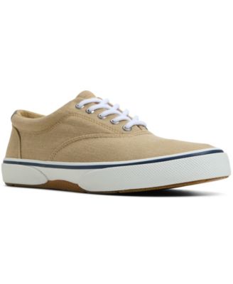 Sperry