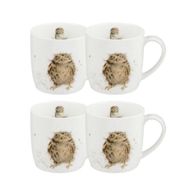 Royal Worcester - Wrendale What a Hoot Owl 4-Pc. Mug Set
