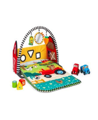 Baby Einstein