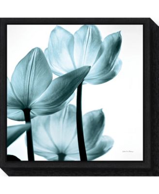 Amanti Art