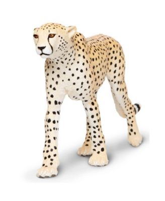 Safari Ltd