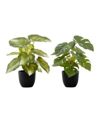 Monarch Specialties