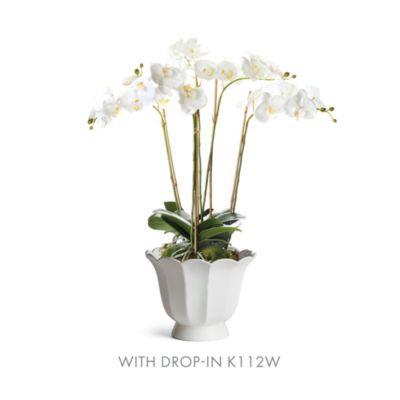 Napa Home & Garden