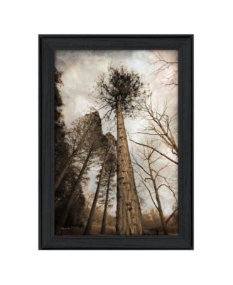 Trendy Décor 4U