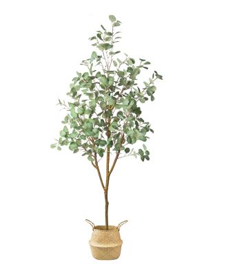 HOMLUX