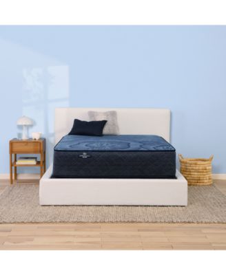 Serta - Perfect Sleeper Euphoric Nights 14" Plush Hybrid Mattress Set, Queen