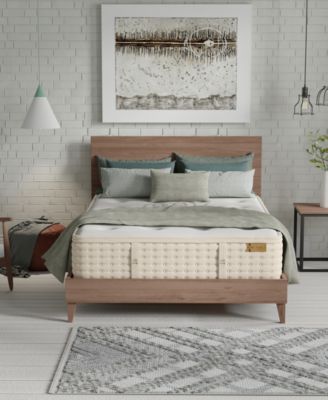 King Koil - Natural Orchid Plush 14.5" HyBrid Mattress Set, Twin XL