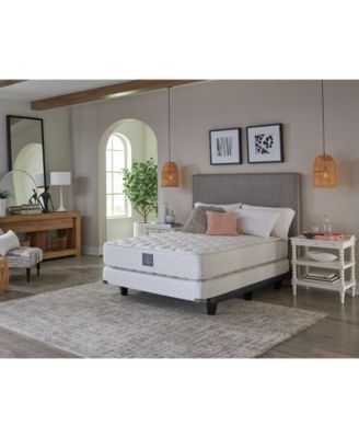 Hotel Collection - Caroline 13" Ultra Firm Mattress - Twin XL