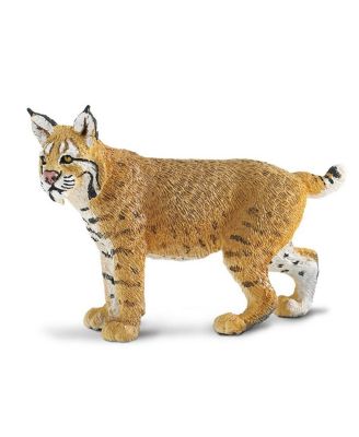 Safari Ltd