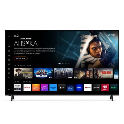 Vizio