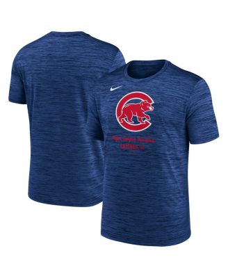Nike - Men's Royal Chicago Cubs Velocity Performance T-shirt