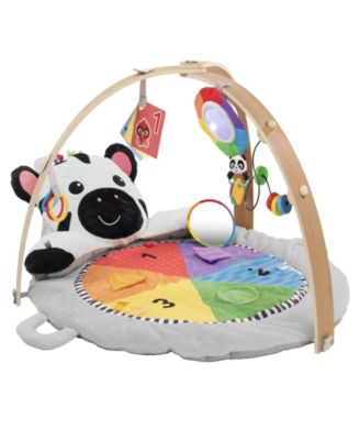 Baby Einstein